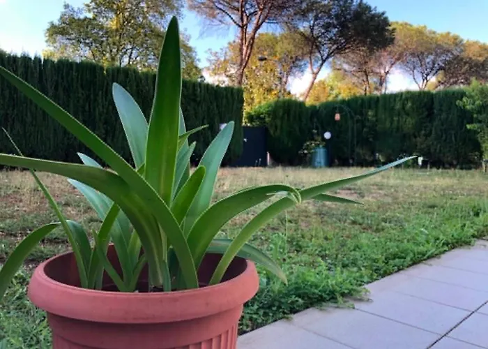 Garden Guest Private Entrance&en-suite Privatunterkunft Rom
